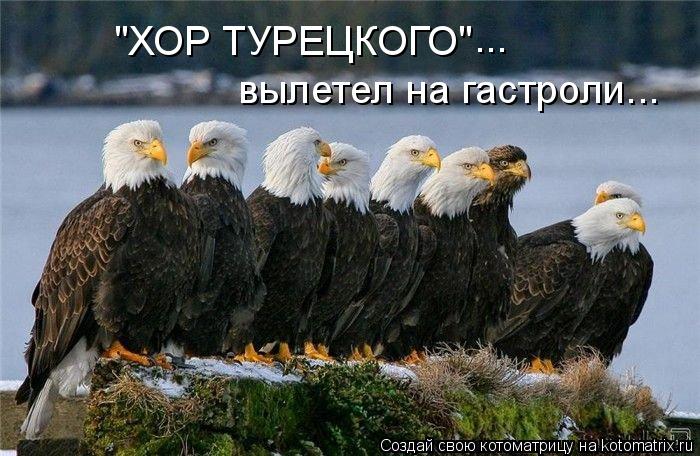 "ХОР ТУРЕЦКОГО" ... вылетел на гастроли...... Котоматрица: "ХОР ТУРЕЦКОГО" ... вылетел на гастроли...