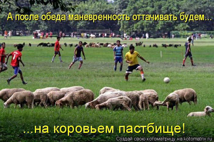 ...на коровьем пастбище! А после обеда маневренность оттачивать будем...... Котоматрица: ...на коровьем пастбище! А после обеда маневренность оттачивать будем...