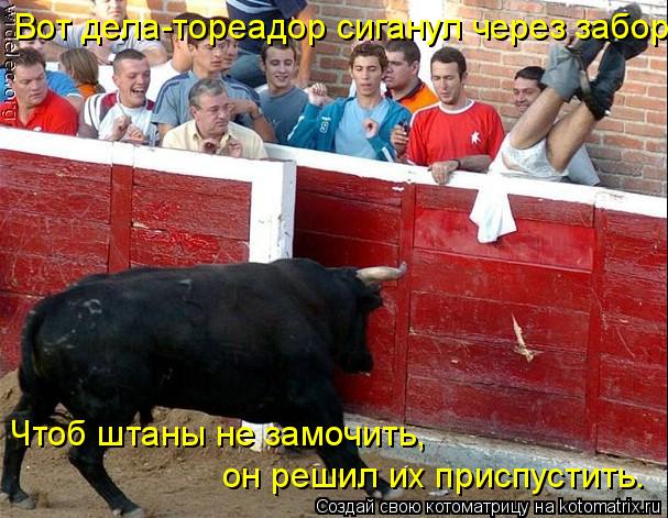 Вот дела-тореадор сиганул через забор. Чтоб штаны не замочить, он решил их приспустить.... Котоматрица: Вот дела-тореадор сиганул через забор. Чтоб штаны не замочить, он решил их приспустить.