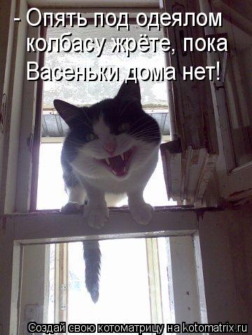 - Опять под одеялом колбасу жрёте, пока Васеньки дома нет!... Котоматрица: - Опять под одеялом колбасу жрёте, пока Васеньки дома нет!