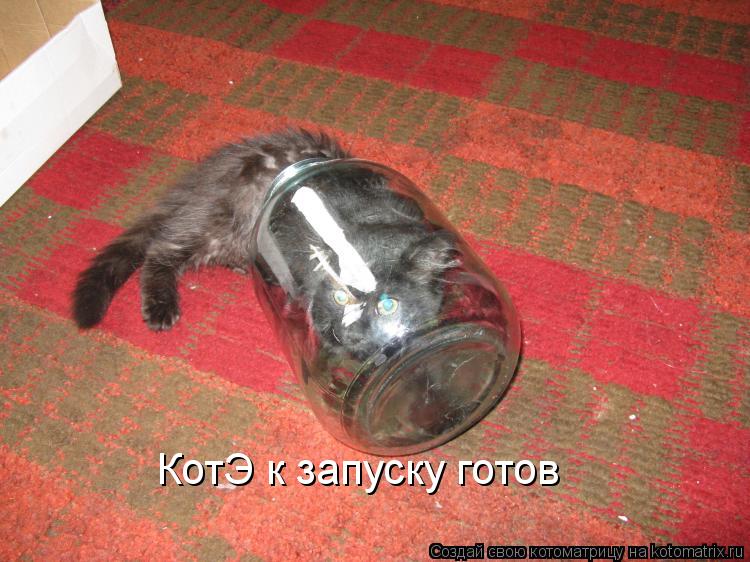 КотЭ к запуску готов... Котоматрица: КотЭ к запуску готов