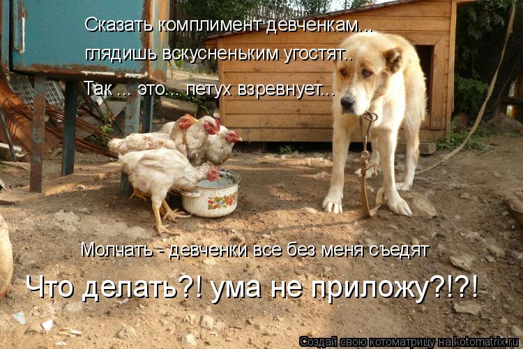 Молчать - девченки все без меня съедят Что делать?! ума не приложу?!?! Сказать комплимент девченкам.... Котоматрица: Молчать - девченки все без меня съедят Что делать?! ума не приложу?!?! Сказать комплимент девченкам... глядишь вскусненьким угостят.. Так ... эт