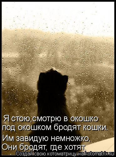 Я стою,смотрю в окошко под окошком бродят кошки. Им завидую немножко, Они бродят, где хотят.... Котоматрица: Я стою,смотрю в окошко под окошком бродят кошки. Им завидую немножко, Они бродят, где хотят.