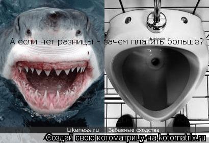 А если нет разницы - зачем платить больше?... Котоматрица: А если нет разницы - зачем платить больше?