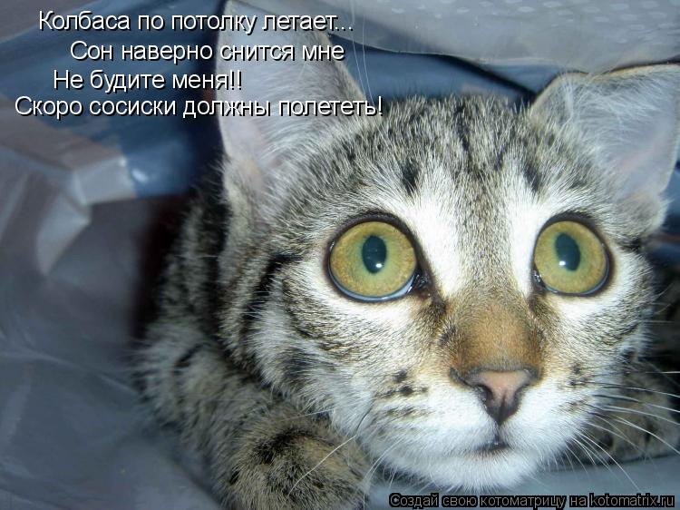 Колбаса по потолку летает... Сон наверно снится мне Не будите меня!! Скоро сосиски должны полететь!... Котоматрица: Колбаса по потолку летает... Сон наверно снится мне Не будите меня!! Скоро сосиски должны полететь!