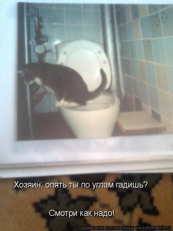 Хозяин, опять ты по углам гадишь? Смотри как надо!... Котоматрица: Хозяин, опять ты по углам гадишь? Смотри как надо!