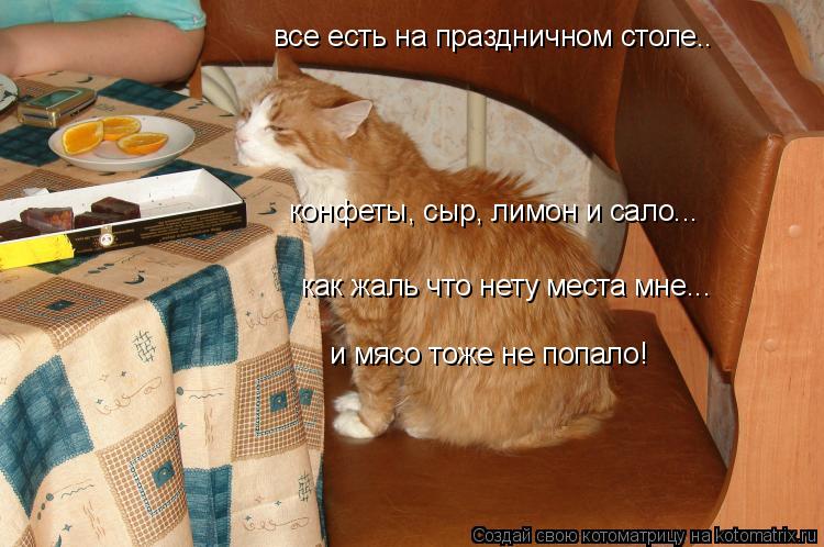 все есть на праздничном столе.. конфеты, сыр, лимон и сало... как жаль что нету места мне... и мясо т... Котоматрица: все есть на праздничном столе.. конфеты, сыр, лимон и сало... как жаль что нету места мне... и мясо тоже не попало!