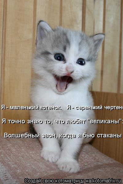 Я - маленький котенок. Я - серенький чертенок. Я точно знаю то, что любят "великаны": Волшебный з... Котоматрица: Я - маленький котенок. Я - серенький чертенок. Я точно знаю то, что любят "великаны": Волшебный звон, когда я бью стаканы