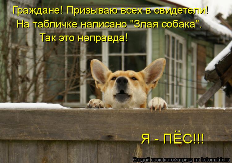 Граждане! Призываю всех в свидетели! На табличке написано "Злая собака". Так это неправда! Я - ПЕС!... Котоматрица: Граждане! Призываю всех в свидетели! На табличке написано "Злая собака". Так это неправда! Я - ПЕС!!! ..
