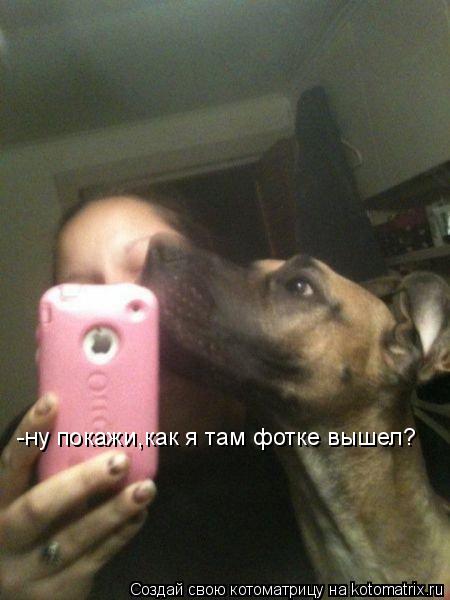 -ну покажи,как я там фотке вышел?... Котоматрица: -ну покажи,как я там фотке вышел?