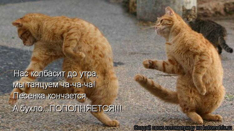 Нас колбасит до утра, мы танцуем ча-ча-ча! Песенка кончается, А бухло...ПОПОЛНЯЕТСЯ!!!... Котоматрица: Нас колбасит до утра, мы танцуем ча-ча-ча! Песенка кончается, А бухло...ПОПОЛНЯЕТСЯ!!!