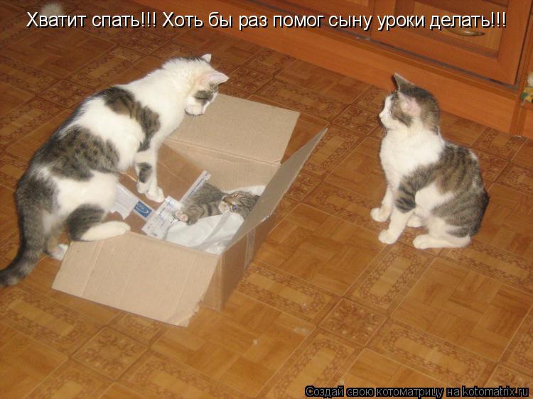 Хватит спать!!! Хоть бы раз помог сыну уроки делать!!!... Котоматрица: Хватит спать!!! Хоть бы раз помог сыну уроки делать!!!