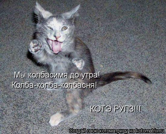 Мы колбасимя до утра! Колба-колба-колбасня! КОТЭ РУЛЗ!!!... Котоматрица: Мы колбасимя до утра! Колба-колба-колбасня! КОТЭ РУЛЗ!!!
