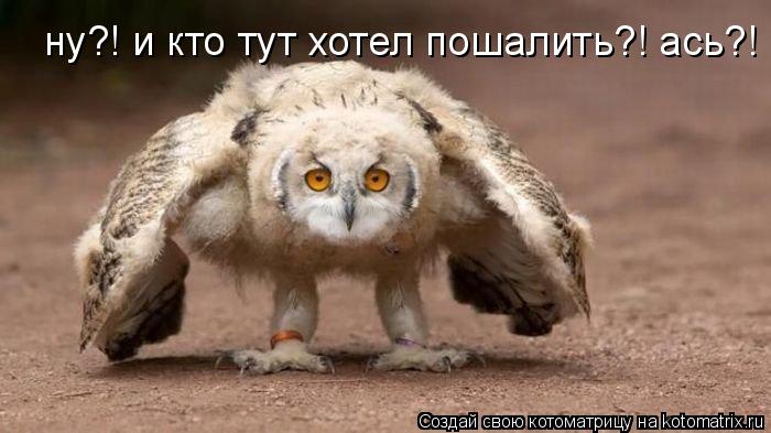 ну?! и кто тут хотел пошалить?! ась?!... Котоматрица: ну?! и кто тут хотел пошалить?! ась?!
