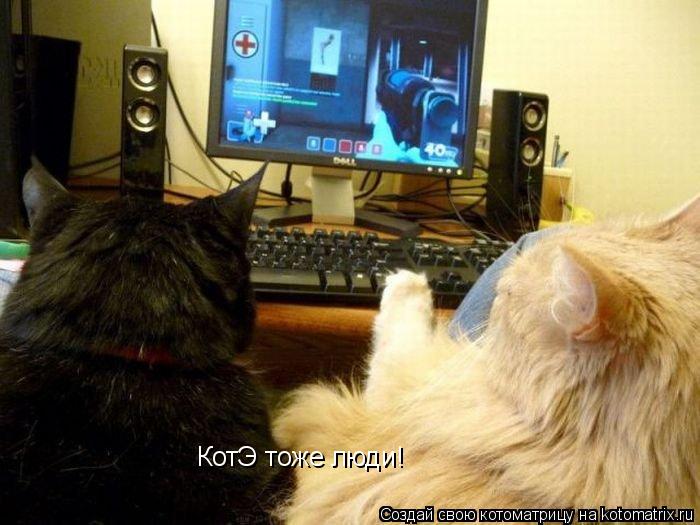 КотЭ тоже люди!... Котоматрица: КотЭ тоже люди!