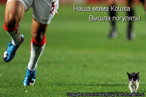 Наша мама Кошка Вышла погулять!... Котоматрица: Наша мама Кошка Вышла погулять!