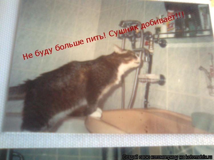 Не буду больше пить! Сушняк добивает!!!... Котоматрица: Не буду больше пить! Сушняк добивает!!!