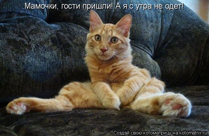 Мамочки, гости пришли! А я с утра не одет!... Котоматрица: Мамочки, гости пришли! А я с утра не одет!