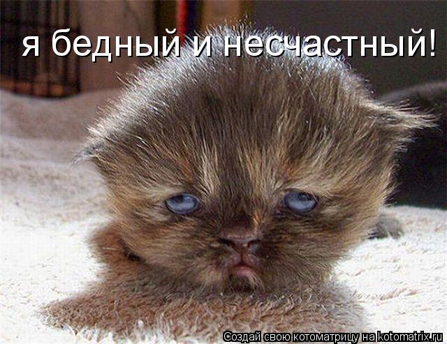 я бедный и несчастный!... Котоматрица: я бедный и несчастный!