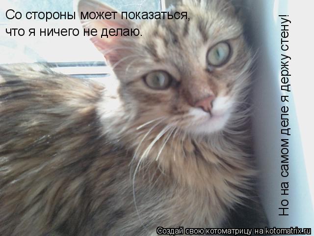 Котоматрица: Со стороны может показаться,  что я ничего не делаю. Но на самом деле я держу стену!
