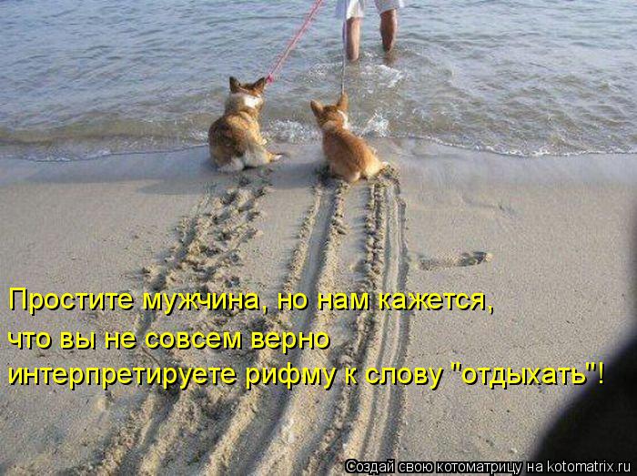 интерпретируете рифму к слову "отдыхать"! что вы не совсем верно Простите мужчина, но нам кажется,... Котоматрица: интерпретируете рифму к слову "отдыхать"! что вы не совсем верно Простите мужчина, но нам кажется,