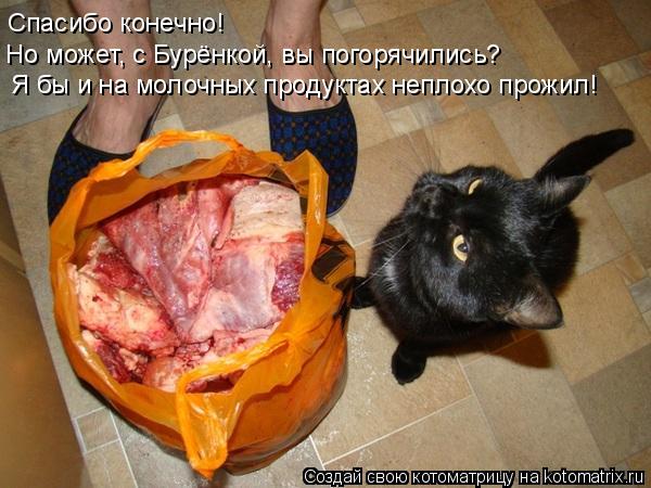 Я бы и на молочных продуктах неплохо прожил! Но может, с Бурёнкой, вы погорячились? Спасибо конечно!... Котоматрица: Я бы и на молочных продуктах неплохо прожил! Но может, с Бурёнкой, вы погорячились? Спасибо конечно!