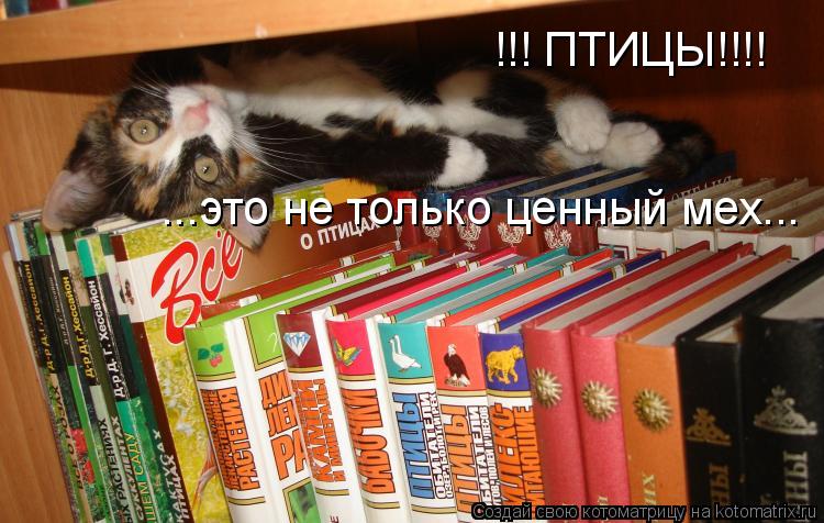 !!! ПТИЦЫ!!!! ...это не только ценный мех...... Котоматрица: !!! ПТИЦЫ!!!! ...это не только ценный мех...