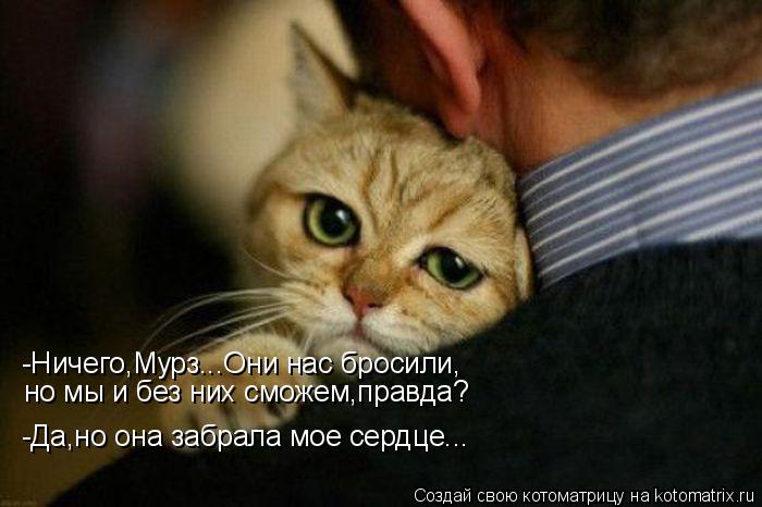 -Ничего,Мурз...Они нас бросили, но мы и без них сможем,правда? -Да,но она забрала мое сердце...... Котоматрица: -Ничего,Мурз...Они нас бросили, но мы и без них сможем,правда? -Да,но она забрала мое сердце...