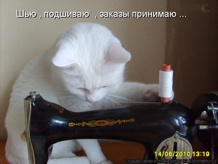 Шью , подшиваю , заказы принимаю ...... Котоматрица: Шью , подшиваю , заказы принимаю ...