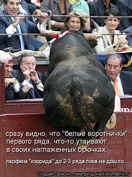 сразу видно, что "белые воротнички" первого ряда, что-то утаивают ... в своих наглаженных брючках. па... Котоматрица: сразу видно, что "белые воротнички" первого ряда, что-то утаивают ... в своих наглаженных брючках. парфюм "коррида" до 2-3 ряда пока не дошло....