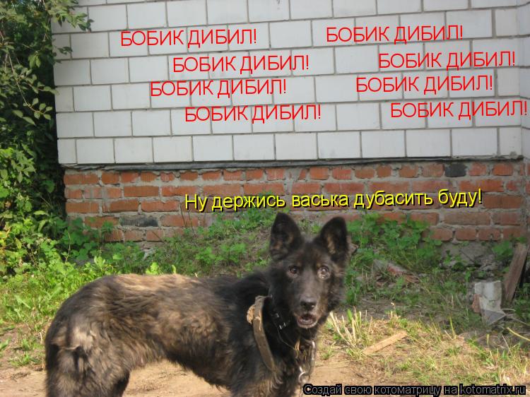 БОБИК ДИБИЛ! БОБИК ДИБИЛ! БОБИК ДИБИЛ! БОБИК ДИБИЛ! БОБИК ДИБИЛ! ... Котоматрица: БОБИК ДИБИЛ! БОБИК ДИБИЛ! БОБИК ДИБИЛ! БОБИК ДИБИЛ! БОБИК ДИБИЛ! БОБИК ДИБИЛ! БОБИК ДИБИЛ! БОБИК ДИБИЛ
