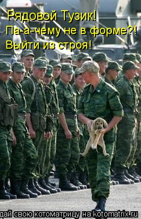 Рядовой Тузик! Па-а-чему не в форме?! Выйти из строя!... Котоматрица: Рядовой Тузик! Па-а-чему не в форме?! Выйти из строя!