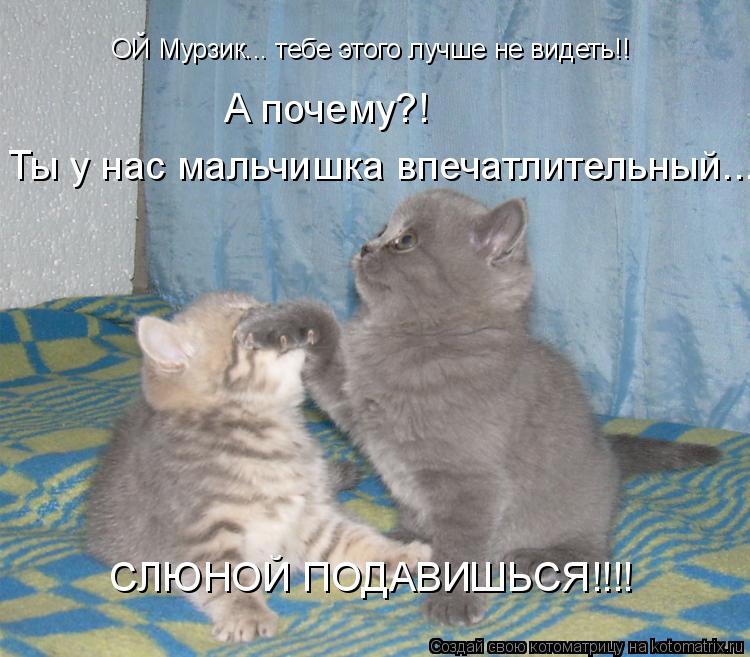 ОЙ Мурзик... тебе этого лучше не видеть!! А почему?! Ты у нас мальчишка впечатлительный... СЛЮНОЙ ПОД... Котоматрица: ОЙ Мурзик... тебе этого лучше не видеть!! А почему?! Ты у нас мальчишка впечатлительный... СЛЮНОЙ ПОДАВИШЬСЯ!!!!