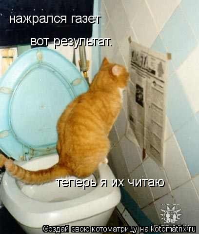 нажрался газет вот результат. теперь я их читаю... Котоматрица: нажрался газет вот результат. теперь я их читаю