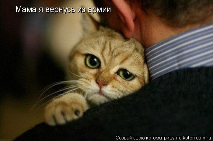 - Мама я вернусь из армии... Котоматрица: - Мама я вернусь из армии