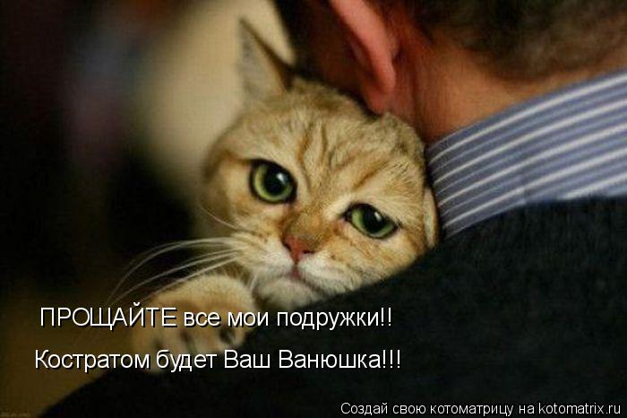 ПРОЩАЙТЕ все мои подружки!! Костратом будет Ваш Ванюшка!!!... Котоматрица: ПРОЩАЙТЕ все мои подружки!! Костратом будет Ваш Ванюшка!!!