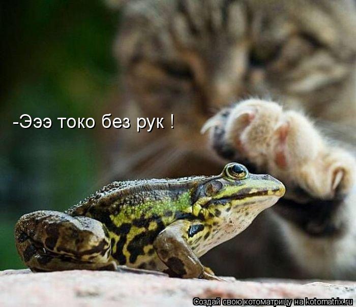 -Эээ токо без рук !... Котоматрица: -Эээ токо без рук !