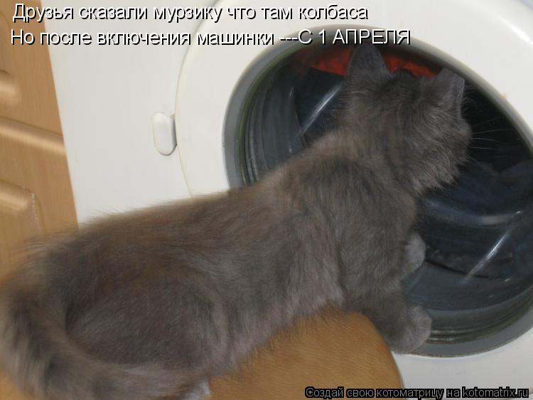 Друзья сказали мурзику что там колбаса Но после включения машинки ---С 1 АПРЕЛЯ... Котоматрица: Друзья сказали мурзику что там колбаса Но после включения машинки ---С 1 АПРЕЛЯ