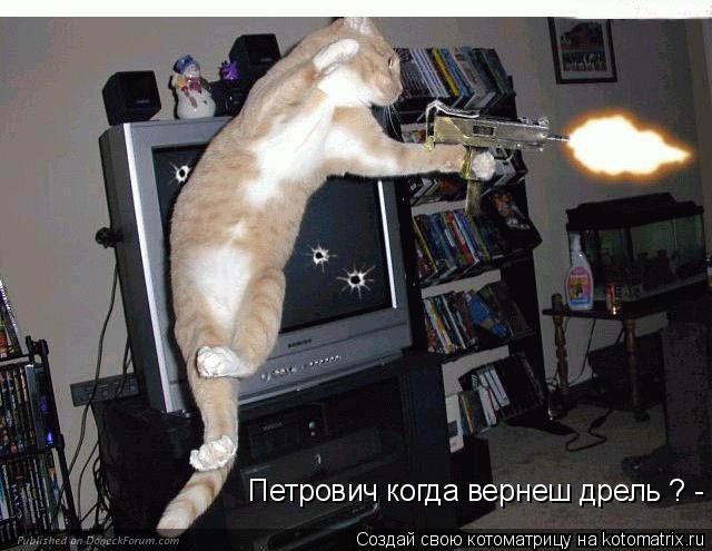 Петрович когда вернеш дрель ? -... Котоматрица: Петрович когда вернеш дрель ? -