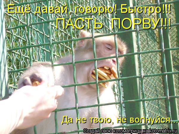 Ещё давай, говорю! Быстро!!! ПАСТЬ ПОРВУ!!! Да не твою, не волнуйся...... Котоматрица: Ещё давай, говорю! Быстро!!! ПАСТЬ ПОРВУ!!! Да не твою, не волнуйся...