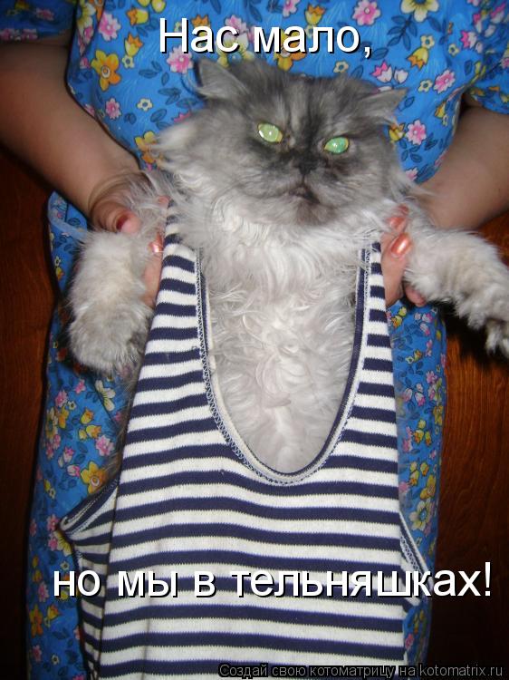 Нас мало, но мы в тельняшках!... Котоматрица: Нас мало, но мы в тельняшках!