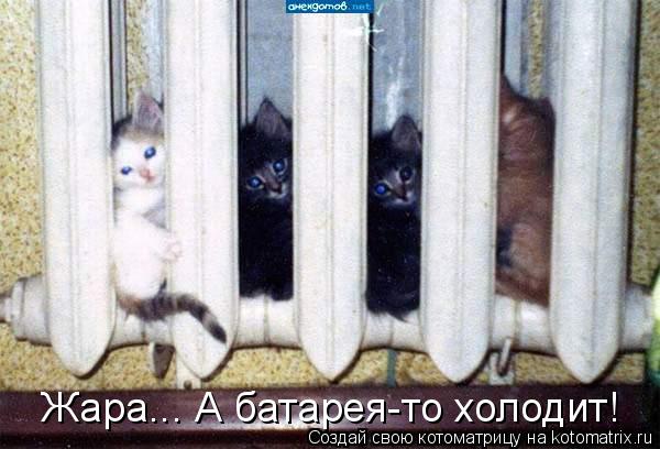 Жара... А батарея-то холодит!... Котоматрица: Жара... А батарея-то холодит!