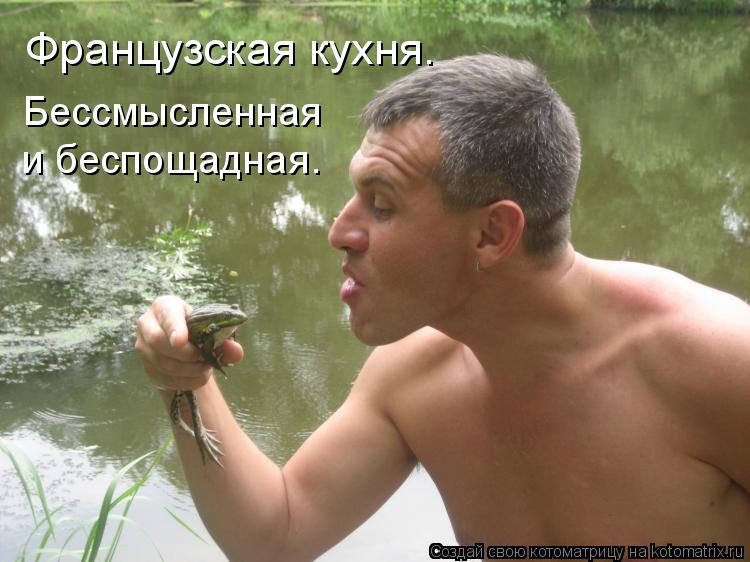 Французская кухня. Бессмысленная и беспощадная.... Котоматрица: Французская кухня. Бессмысленная и беспощадная.