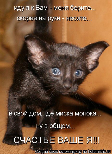иду я к Вам - меня берите... скорее на руки - несите... в свой дом, где миска молока... СЧАСТЬЕ ВАШЕ ... Котоматрица: иду я к Вам - меня берите... скорее на руки - несите... в свой дом, где миска молока... СЧАСТЬЕ ВАШЕ Я!!! ну в общем...