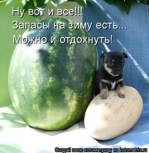 Ну вот и все!!! Запасы на зиму есть... Можно и отдохнуть!... Котоматрица: Ну вот и все!!! Запасы на зиму есть... Можно и отдохнуть!