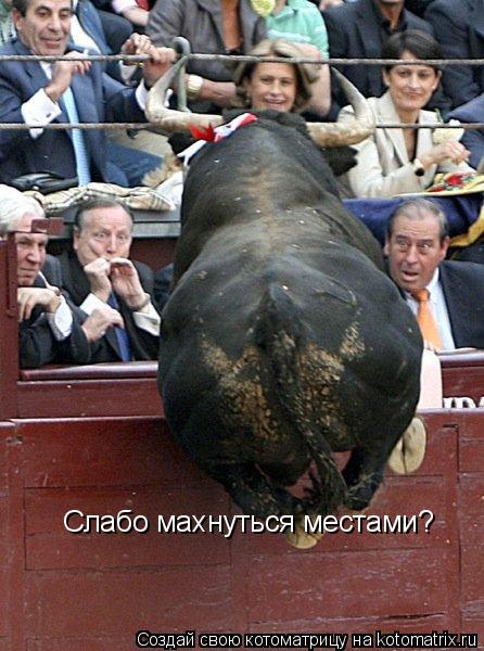 Слабо махнуться местами?... Котоматрица: Слабо махнуться местами?
