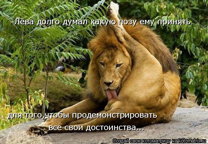 Лёва долго думал какую позу ему принять для того,чтобы продемонстрировать все свои достоинства...... Котоматрица: Лёва долго думал какую позу ему принять для того,чтобы продемонстрировать все свои достоинства...