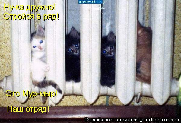 Ну-ка дружно! Стройся в ряд! Это Мур-мыр! Наш отряд!... Котоматрица: Ну-ка дружно! Стройся в ряд! Это Мур-мыр! Наш отряд!