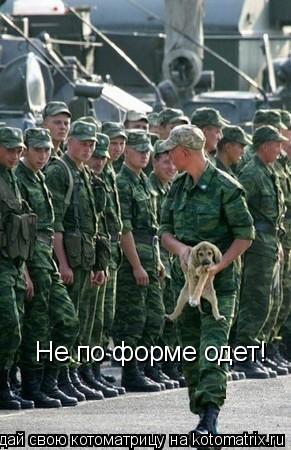 Не по форме одет!... Котоматрица: Не по форме одет!