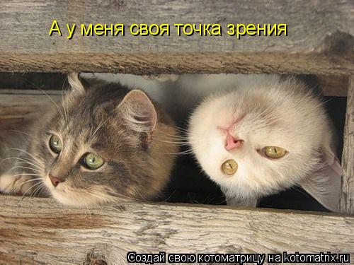 А у меня своя точка зрения... Котоматрица: А у меня своя точка зрения